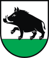 Herb gminy Łobżenica