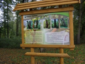 Tablica informacyjna dotycząca pomników przyrody, które znajdują się w zabytkowym parku w Słowikowie, w gminie Orchowo