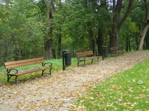 Ławki z oparciem i kosze na śmieci wzdłuż alejek spacerowych w zabytkowym parku w Słowikowie, w gminie Orchowo
