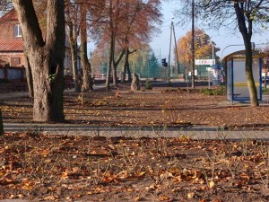 Skwer w centrum sołectwa Kościelna Wieś II przed zagospodarowaniem, w gminie Gołuchów
