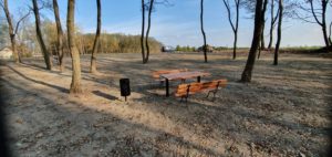Stół, ławki i kosz na śmieci w zagajniku leśnym w sołectwie Żbiki, w gminie Czermin