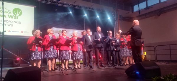 Zespół Pieśni BPiCK „Malwy” podczas występu na scenie.