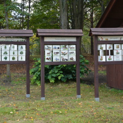 Tablice z informacjami dotyczącymi miejscowości Rychlik w gminie Trzcianka.