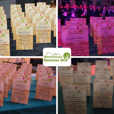 Szklane dyplomy - Konkurs "Aktywna Wieś Wielkopolska"